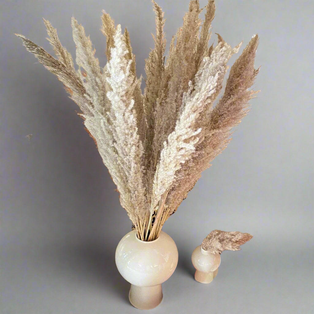 Brown Tall Pampas Grass 10-Stem Bundle | 28-40" Dried Decor for Homes & Weddings