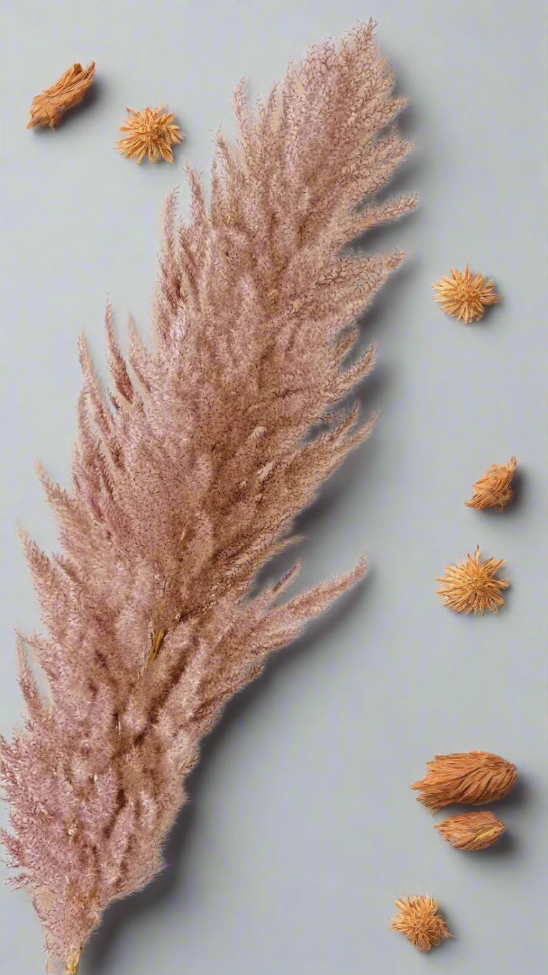 Brown Tall Pampas Grass 10-Stem Bundle | 28-40" Dried Decor for Homes & Weddings
