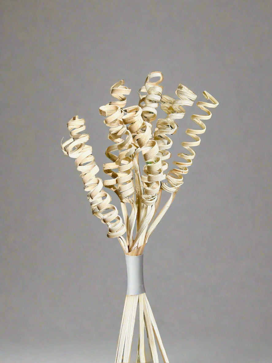 Off-White Spiral Stems: Forever Elegance with Zero Maintenance