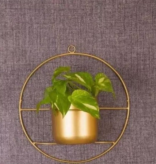 Luxury Metal Planter with Gold Finish – Durable, Eco-Friendly - Mulmil