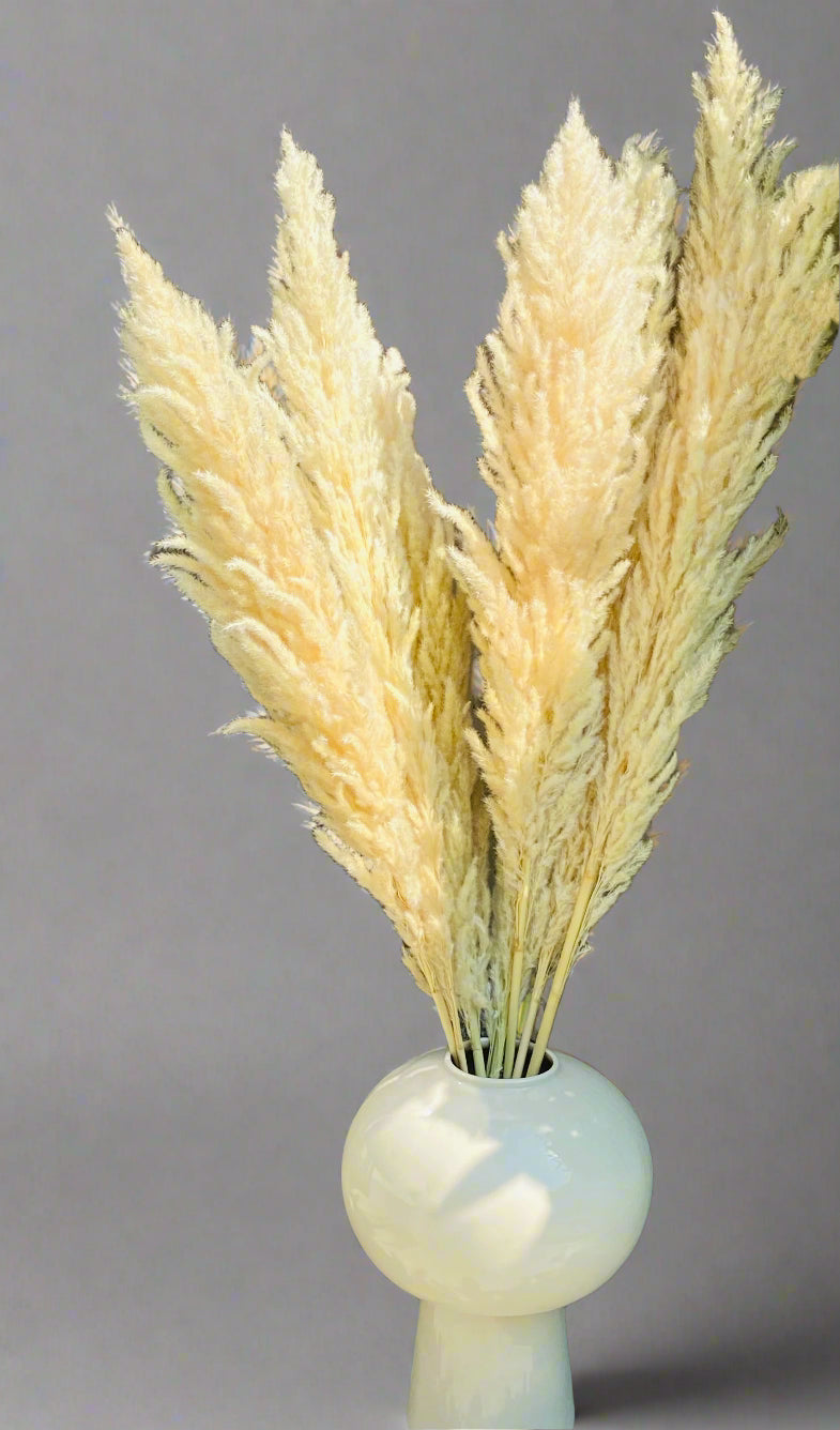 Ivory Tall Pampas Grass: Natural for Home & Wedding Decor