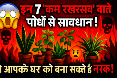 इन 7 'कम रखरखाव' वाले पौधों से सावधान! ये आपके घर को बना सकते हैं नरक!