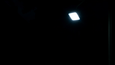 Your Dark Yard is a Security Risk. Here's the 1 Thing Outdoor Lighting Specialists Swear By.