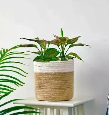 Modern Woven Storage Basket – Decorative Indoor Planter Cover