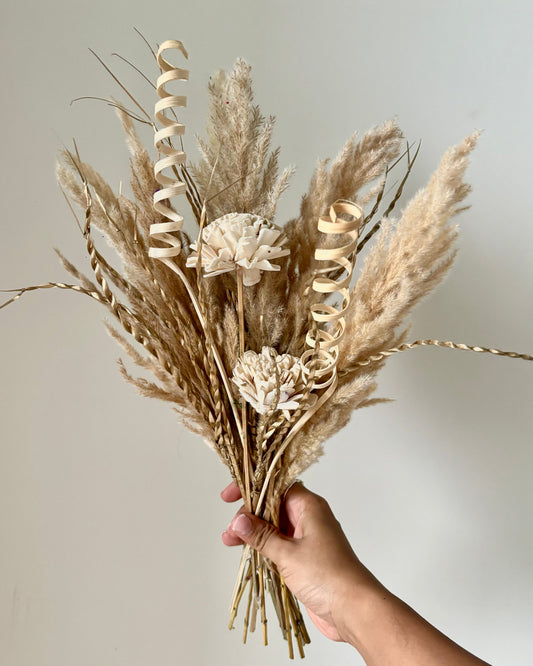 Asolo Dried dried flower