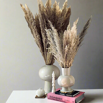 Brown Tall Pampas Grass 10-Stem Bundle | 28-40" Dried Decor for Homes & Weddings