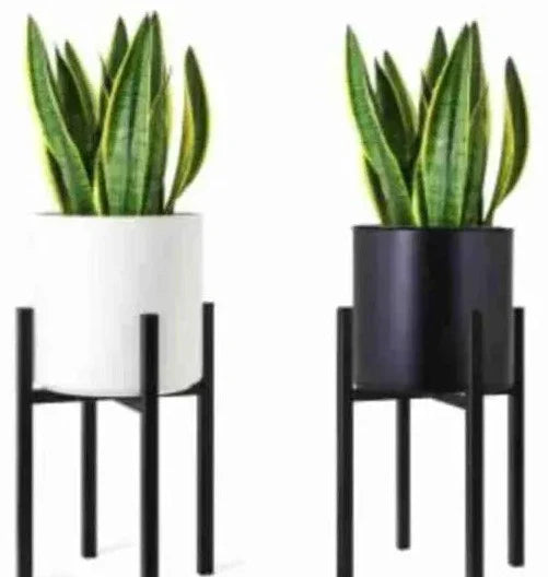 Terrace Patio Home Décor Color(Pack of 2)