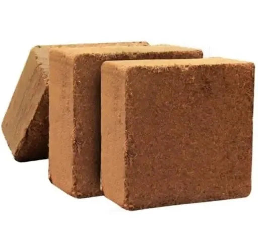 Cocopeat Block – 1kg Natural Soil Conditioner for Indoor & Outdoor Plants