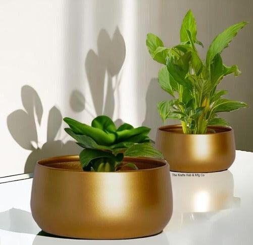 Planter for Living Room Bedroom Interior (Gold) Pack of 2