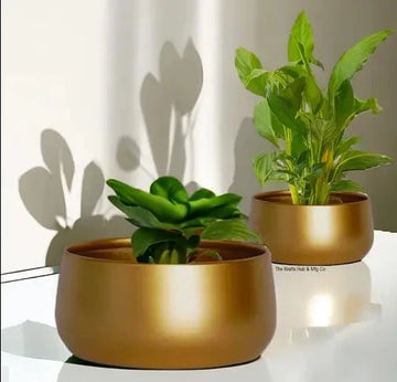 Premium Eco-Friendly Metal Planters (Pack of 2)
