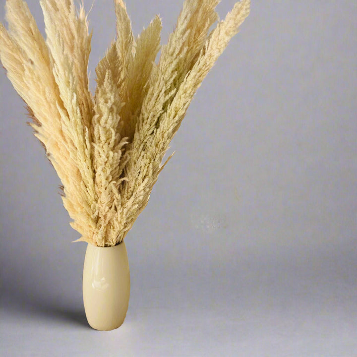 Ivory Tall Pampas Grass: Natural for Home & Wedding Decor